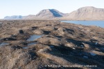 240907a_Tundraodden_27_N