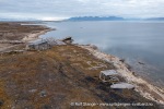 240726_Bohemanflya_311_N