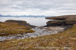 240726_Bohemanflya_004_N