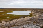 240726_Bohemanflya_026_N