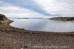 240726_Bohemanflya_163_N