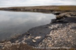 240726_Bohemanflya_201_N