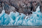 e3_Sveabreen_19Sept12_16_N