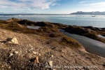 f7t_Sveaneset_17Aug13_07_N