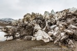 170628a_Wahlenbergbreen_070_N