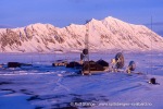 1999_Kapp-Linne_01_N