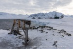 240408a_Kapp-Linne_313_N