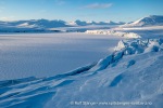 230310e_Mohnbukta_52_N
