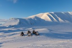 230310f_Teistpynten_11_N