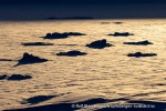 230310f_Teistpynten_20_N