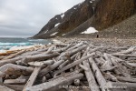 a7r_Depotodden_16Aug14_059_N