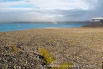 170803f_Jaderinfjord_046_N