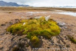 180816b_Kapp-Borthen_001_N