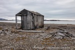 210817c_Mollbukta_010_N