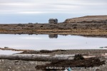 210817c_Mollbukta_034_N