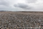 210817c_Mollbukta_112_N