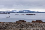 210817c_Mollbukta_122_N