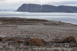 210817c_Mollbukta_130_N