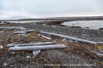 b1u_Mollbukta_13Aug15_040_N