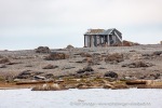 b1u_Mollbukta_13Aug15_054_N