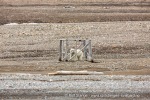 18_f3j_Hingstsletta_08Juli13_114_N