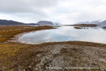 160921c_Sigridholmen_21_N