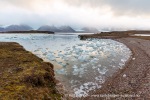 160921c_Sigridholmen_41_N