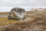 170731a_Collinsodden_027_N