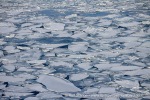 250329b_Elveneset_13_N