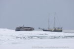 2500501a_Skansbukta_35_N