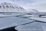 2500501b_Billefjord_05_N