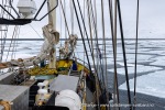 2500501b_Billefjord_06_N