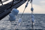 250430b_Adventfjord_02_N