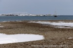 250502a_Farmhamna_04_N