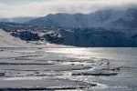 250504a_Fjortende-Julibukta_03_N