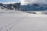 250504a_Fjortende-Julibukta_21_N