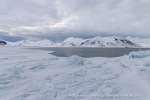 250506b_Selvaagen_03_N