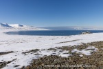 250507a_Colesbukta_38_N