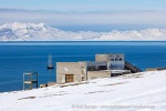250507a_Colesbukta_42_N