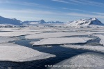 250507c_Borebukta_26_N