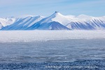 250508b_Dicksonfjord_01_N