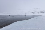 250501a_Skansbukta_02_N