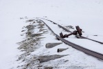 250501a_Skansbukta_18_N