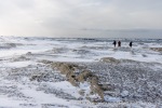 250502a_Farmhamna_35_N