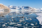 250503b_Kongsfjord_40_N