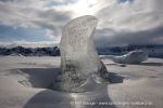 250504a_Fjortende-Julibukta_17_N