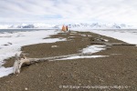 250506a_Sarstangen_47_N