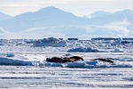 250507c_Borebukta_05_N