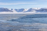 250508b_Dicksonfjord_04_N