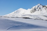 250523c_Trygghamna_21_N